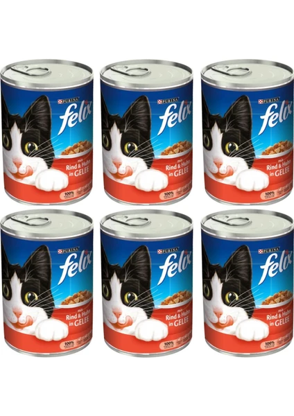 Purina Sığır Etli Konserve Yaş Kedi Maması 400 gr x 6 Adet