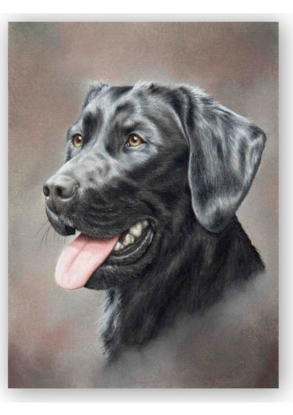 Ahşap Tablo Siyah Labrador Çizim