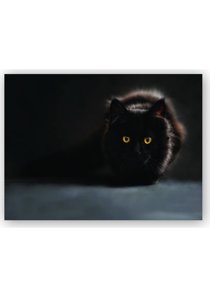 Ahşap Tablo Sarı Gözlü Kara Kedi