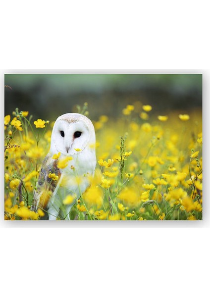 Ahşap Tablo Doğada Peçeli Baykuş