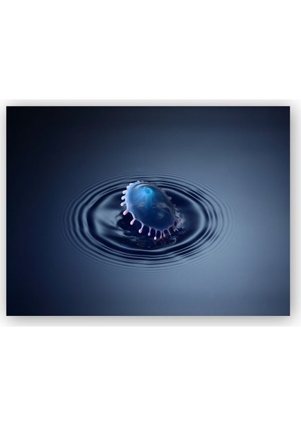 Ahşap Tablo Su Damlası ve Dalgaları Makro