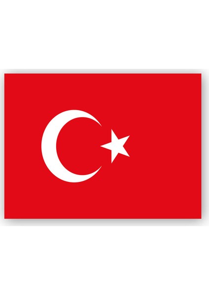 Ahşap Tablo Türk Bayrağı