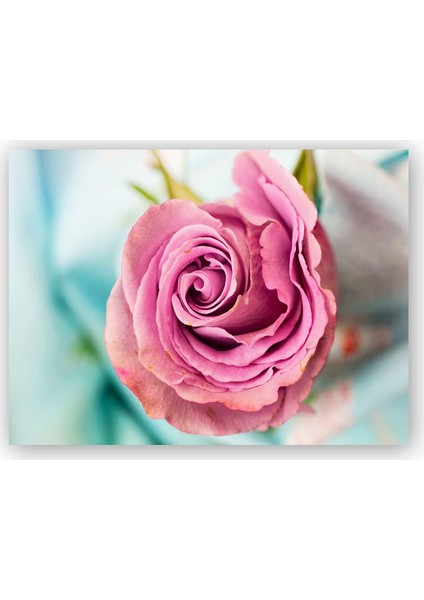 Ahşap Tablo Dalında Pembe Gül