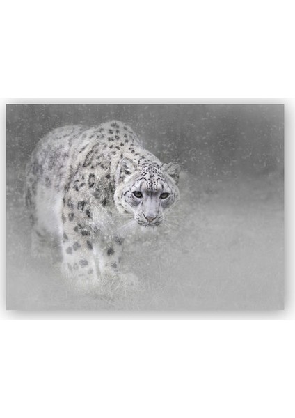 Ahşap Tablo Kar Leoparı