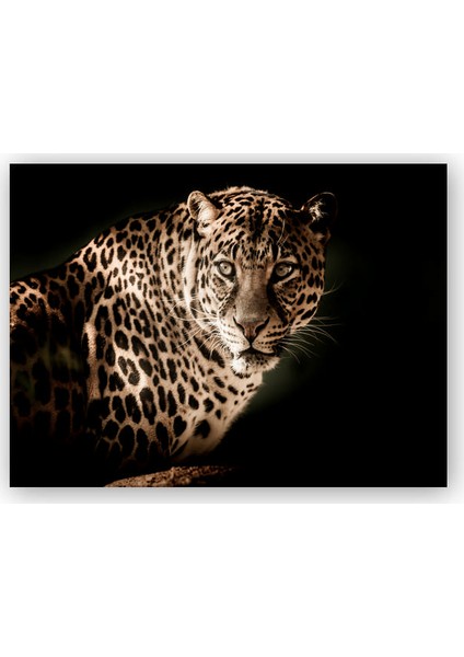 Ahşap Tablo Leopar Siyah Arkaplan