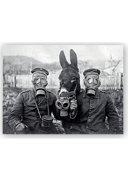 Ahşap Tablo Gaz Maskeli Askerler ve Eşek SB