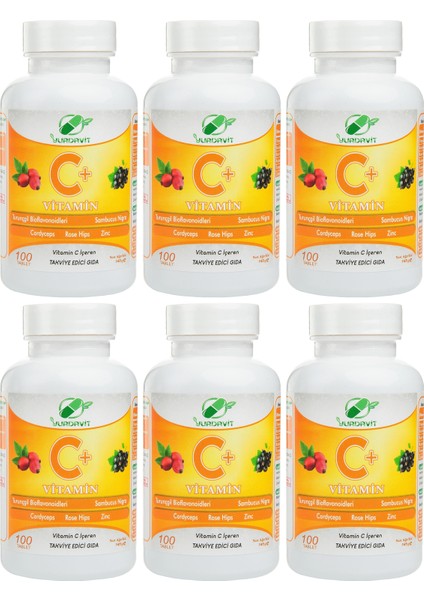 Vitamin C 1000 Mg C Vitamini Kuşburnu Kara Mürver Çinko Kordiseps Turunçgil 6 Adet 100 Tablet