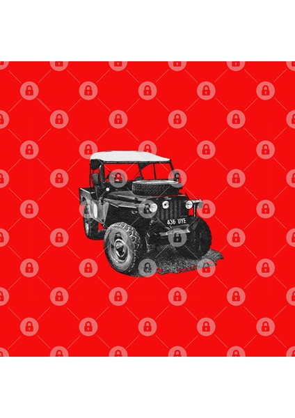 1955 Land Rover - Mavis Kupa Bardak