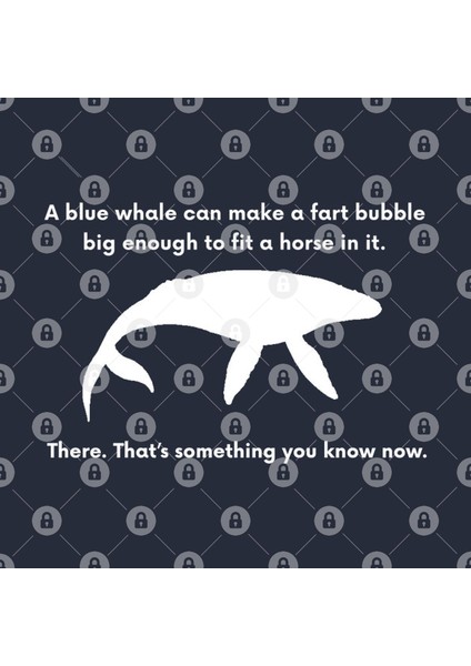 Whale Knowledge – 1 Kupa Bardak