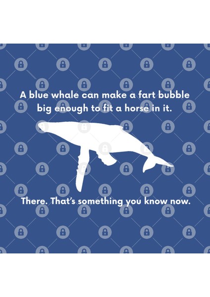 Whale Knowledge – 2 Kupa Bardak