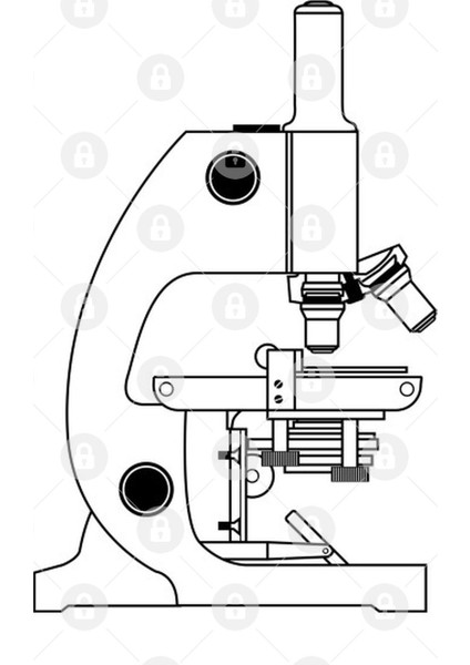 Microscope Kupa Bardak