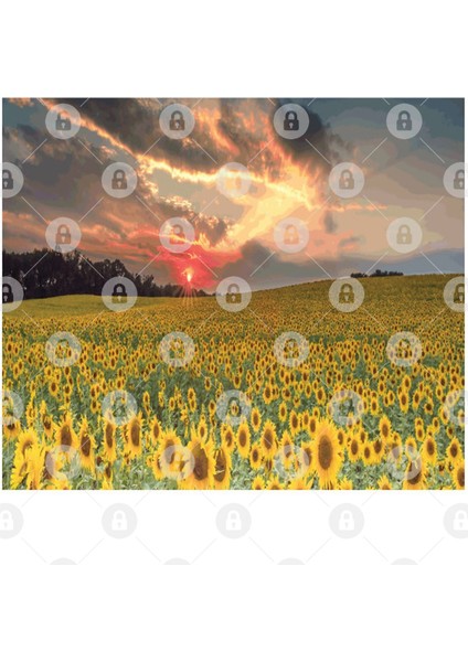 Sunflowers Pop Art Kupa Bardak