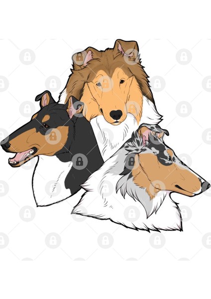 Pointy Herding Dogs! (Collies) Kupa Bardak