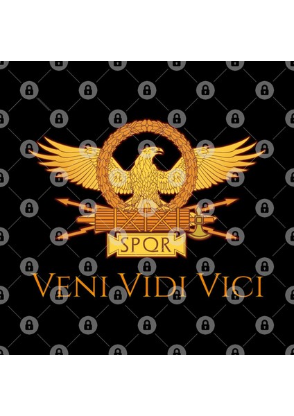 Veni Vidi Vici - Julius Caesar Kupa Bardak
