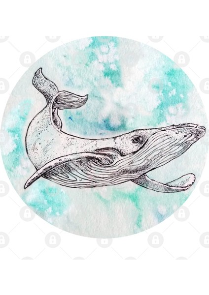 Whale Hi There Kupa Bardak