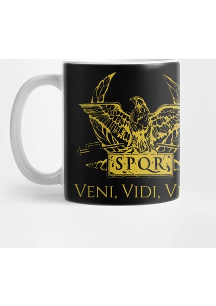 Veni Vidi Vici Julius Caesar Ancient Rome Quote Kupa Bardak
