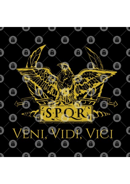 Veni Vidi Vici Julius Caesar Ancient Rome Quote Kupa Bardak