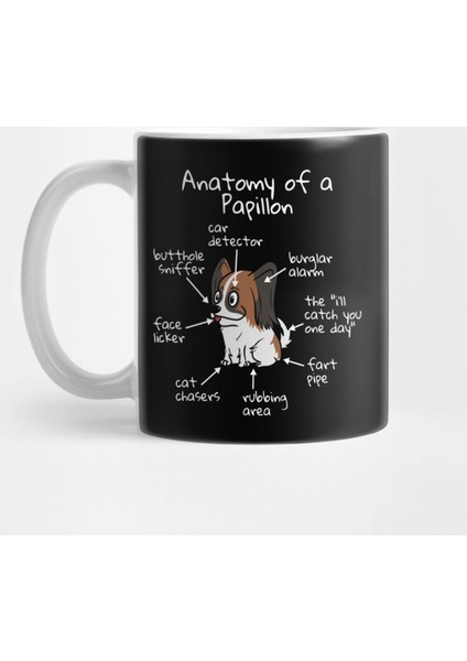 The Anatomy Of A Papillon Kupa Bardak