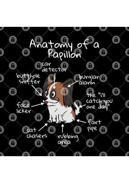 The Anatomy Of A Papillon Kupa Bardak