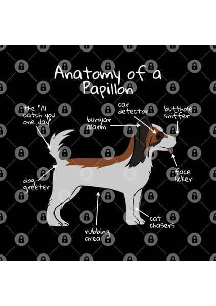 Dog Anatomy Papillon Kupa Bardak