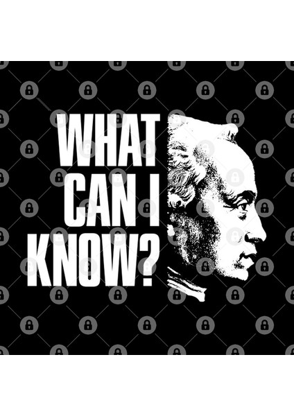 Immanuel Kant Epistemology What Can I Know Philosophical Questionfor Philosophers Teachers And Kupa Bardak