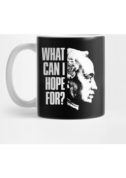 Kant What Can I Hope For Question Metaphysics Philosophyfor Teachers Philosophers And Book Love Kupa Bardak