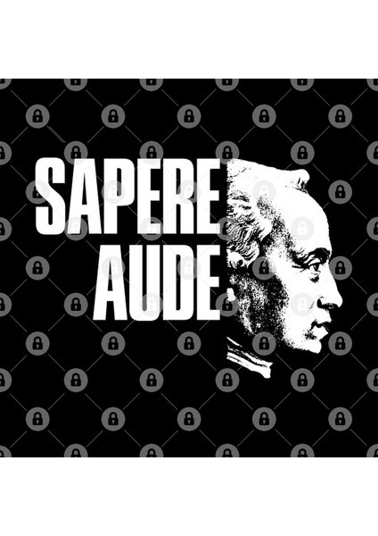 Immanuel Kant Sapere Aude Latin Funfor Philosophers Teachers Librarians And Book Enthusiasts Kupa Bardak
