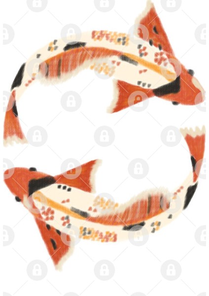Koi Fish Kupa Bardak