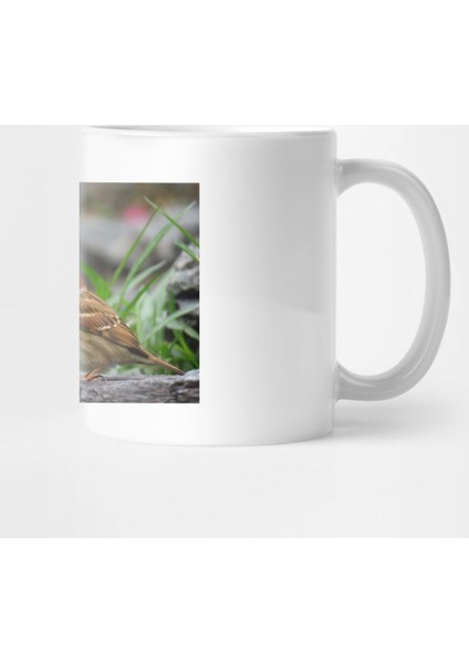 Tree Sparrow Kupa Bardak