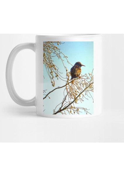 Birds - Sparrow On A Winter Branch Kupa Bardak