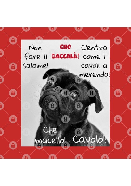 Che Baccalà! Kupa Bardak