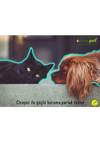 Evcil Hayvan Günlük Hijyenik Mendil (15’li) indirimleri