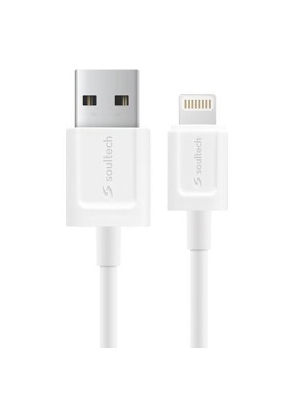 DK041B iPhone Uyumlu Chrome USB Cable