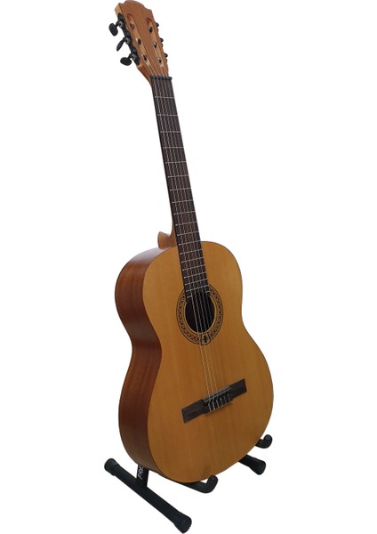 Prs-01 Gitar Sehpası + Askı ve 2 Adet Pena