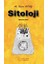 Sitoloji 1