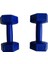 1 kg x 2 Plastik Dambıl 1