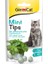 6 Paket Mint Tips Kedi Ödül Tableti 1 Paket 40 gr 1
