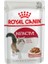 Instinctive gravy Kedi Yaş Maması 85 gr x 12 Adet 1