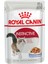 Instinctive Jelly Yetişkin Kedi Yaş Maması 85 gr x 12 Adet 1