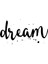 El Yazısı ile Yazılmış Dream Yazısı Sticker 60x33 cm - Siyah 3