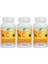 Vitamin C 1000 Mg C Vitamini Kuşburnu Kara Mürver Çinko Kordiseps Turunçgil 3 Adet 200 Tablet 1