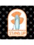 Stand Up Paddle Board Kupa Bardak 3