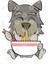 Funny Schnauzer Kawaii Ramen Kupa Bardak 3