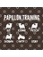 Papillon Training Toy Spaniel Tricks Kupa Bardak 3