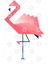 Pink Flamingo Origami Kupa Bardak 3