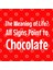 The Meaning Of Life? All Signs Point To Chocolate Kupa Bardak 3