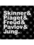 Famous Psychologists Funny Helvetica List Kupa Bardak 3