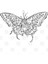 Papillon Kupa Bardak 3