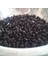 Doğal Black Turtle Siyah Fasulye Tohumu 10 Tohum 1