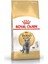 British Shorthair Irka Özel Yetişkin Kedi Maması 10 kg 1